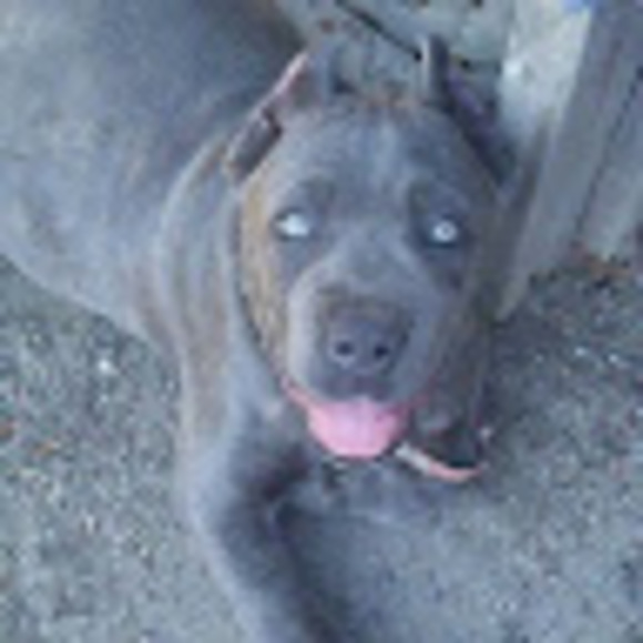 Meet your Posher, Andrea - Picture 1 of 1